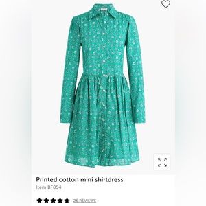 NWT J Crew Factory Paisley Shirt Dress